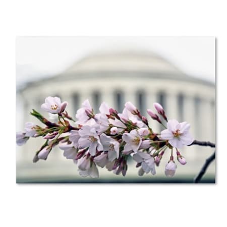 CATeyes 'Jefferson Memorial Blossoms' Canvas Art,18x24